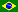 Português Brasil